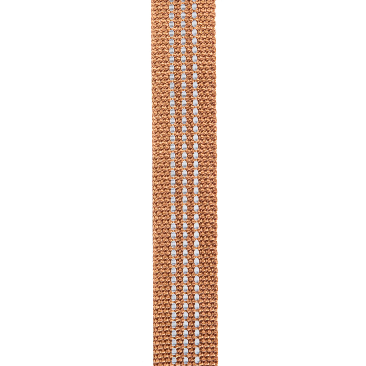 Dog Collar